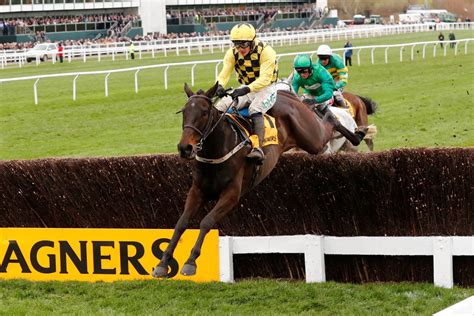 cheltenham runners friday